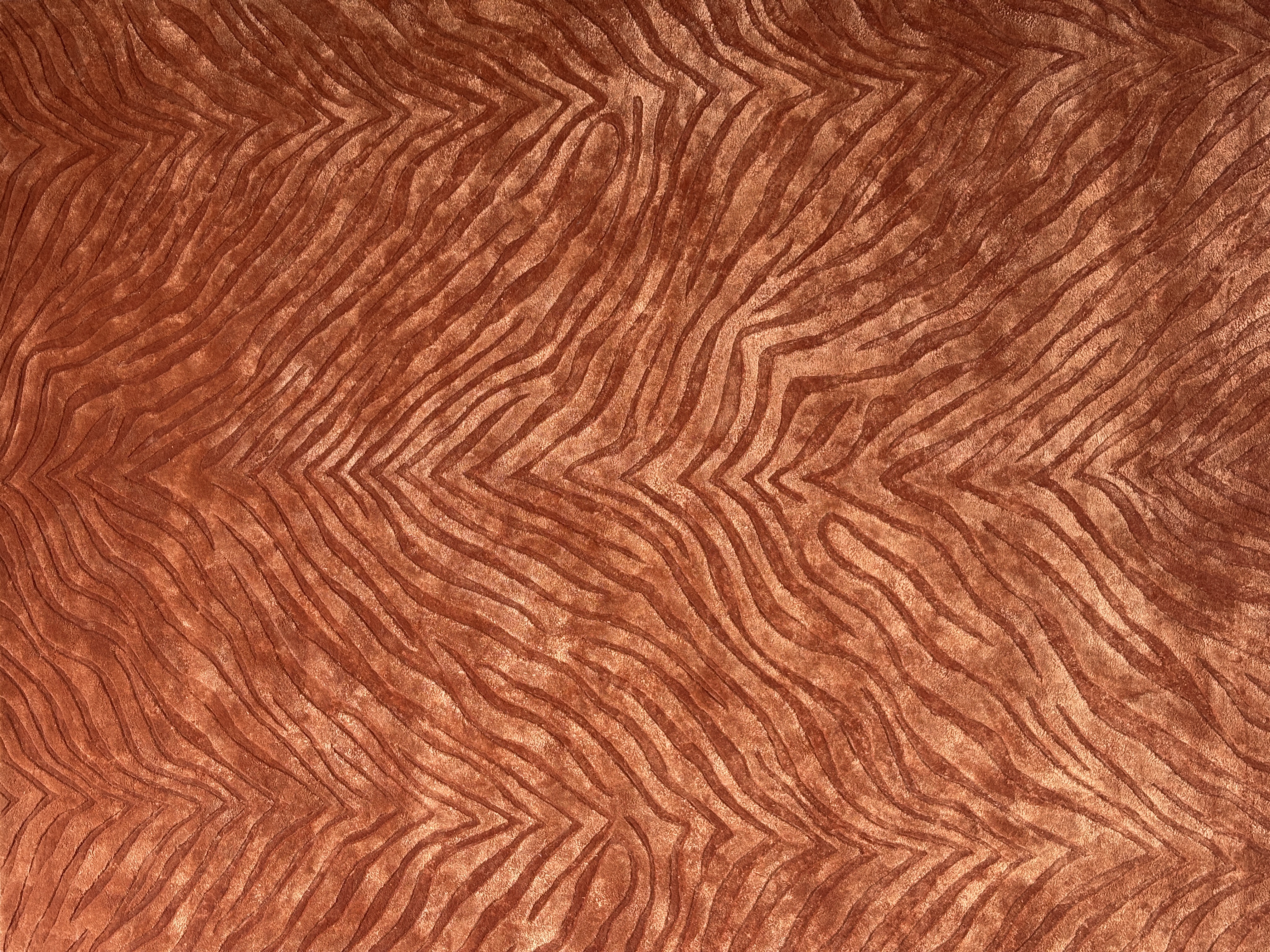 Collector's Silk Series Carpets | Zaari Homes